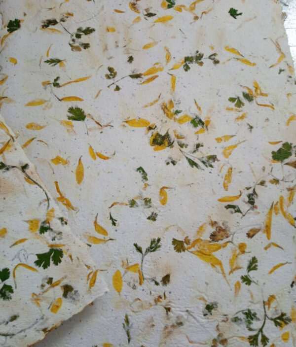 Hoja Artesanal Petalos y Cilantro